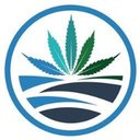 High Tide company logo