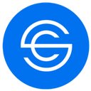 Savvy Salon Club company logo