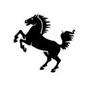 Landeshauptstadt Stuttgart company logo