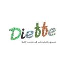dieffe srl company logo