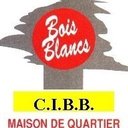 Centre d'Insertion des Bois Blancs (CIBB) company logo