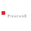 PISACANE Information company logo