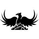 Phoenix Financial Group company logo