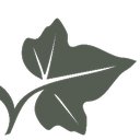 Lilivy Aesthetics & Wellness company logo