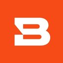 Bitsight company logo