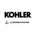 Lombardini srl company logo
