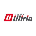 Gruppo Illiria S.p.A. company logo