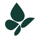 Cavvy Energy Ltd. company logo