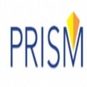 Prism Vision Group company logo