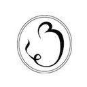 The Belts Corporation company logo