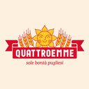 Quattroemme srl company logo