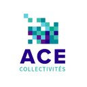 ACE company logo