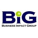 Business Impact Group company logo