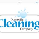 Domestic Cleaning Company company logo