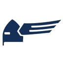 Scandinavian Building Services company logo