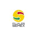 FILIALES SEMEX company logo