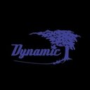 Dynamic Landscaping company logo