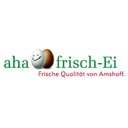 B. Amshoff GmbH company logo