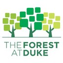 The Forest at Duke company logo
