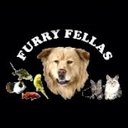Furry Fellas Pet Service LLC company logo