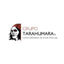 GRUPO TARAHUMARA company logo