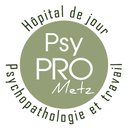 PsyPRO Metz company logo