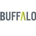 Buffalo Fundraising Consultants company logo