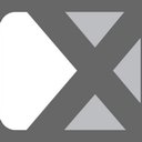 The Silver X Group company logo