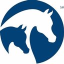 Arabian Horses Association company logo