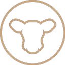Jersey Artisan Co. company logo