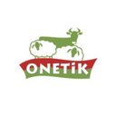 ONETIK company logo