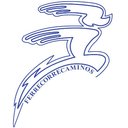 FERRECORRECAMINOS SA DE CV company logo