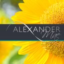 Alexander Mae company logo