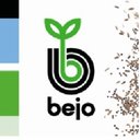 Bejo company logo