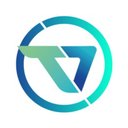 TASK VIRTUAL company logo