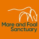 The Mare and Foal Sanctuary company logo