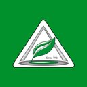 Caffini Spa company logo