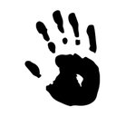 The Wild Play Project company logo