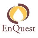 Enquest Petrosolution pvt ltd company logo