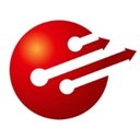 CHOISYS TECHNOLOGY INC company logo