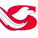 Super Eagle Auto Care company logo