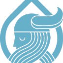 Viking Pure Solutions company logo