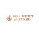 株式会社ハセガワ company logo