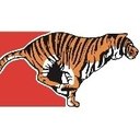 Tiger Fuel Company company logo
