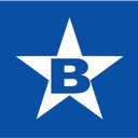 BlueStar US company logo