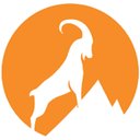Bellwether Technology company logo