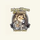 LIONS TIGERS & BEARS company logo