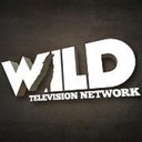 Wild TV Inc. company logo