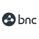 Business Network Consulting company logo