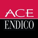 ACE ENDICO CORP company logo